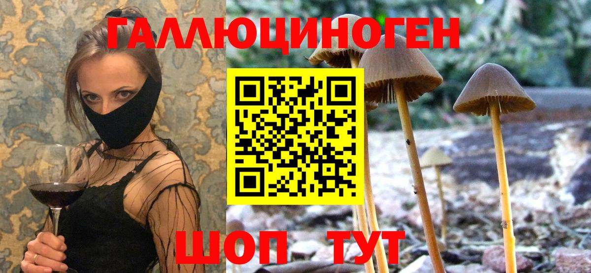 Кувандык  где продают наркотики  Вход с VPN  Псилоцибиновые грибы ЛСД 
